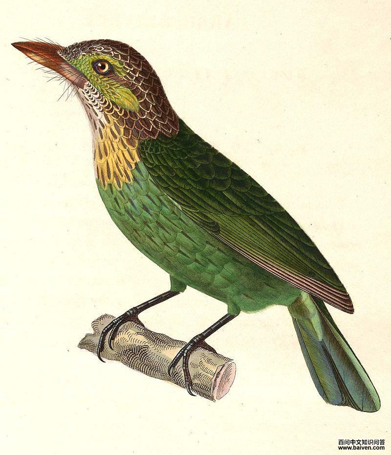 ��������ľ���ͼƬ