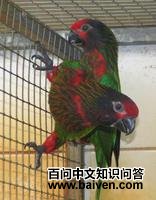 �������������ĵ�ͼƬ