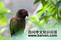 ��������������