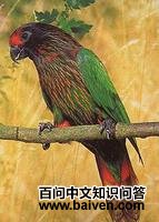 ��������������