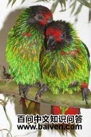 ��������������