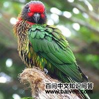 ��������������