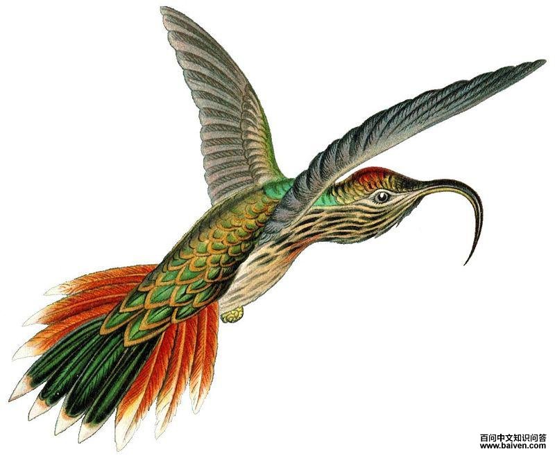 ��β��������ͼƬ