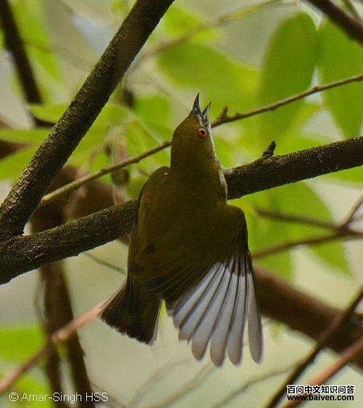 �����Ļ���