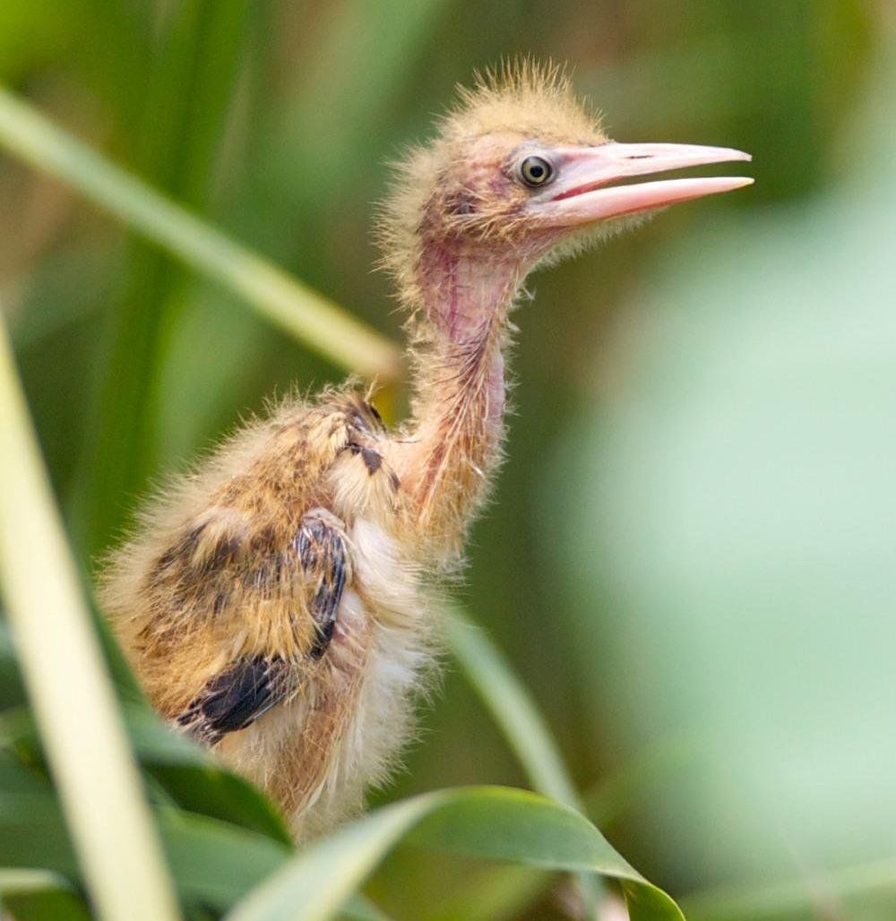 ��έ�Z������