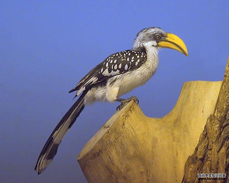 ������Ϭ���ͼƬ