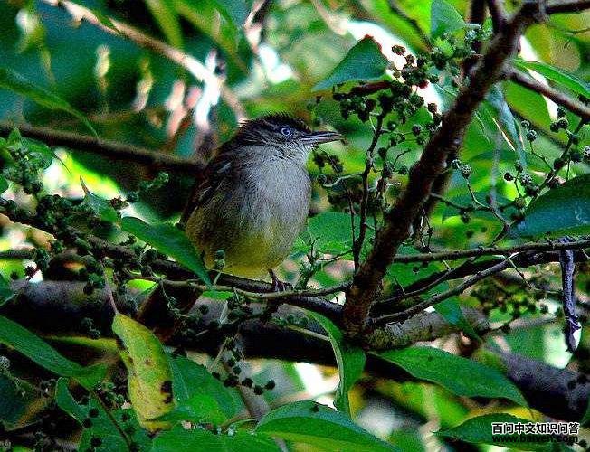 ���λ�����