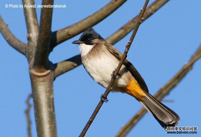 �����ǵ�ͼƬ