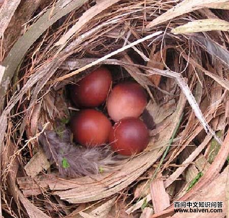 �����ǣ�����