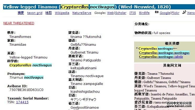 ����Ѩ[����]