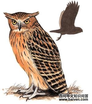 �������^