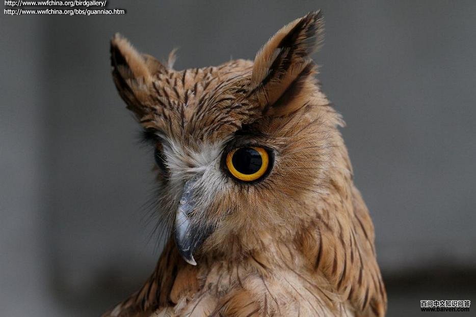 �������^