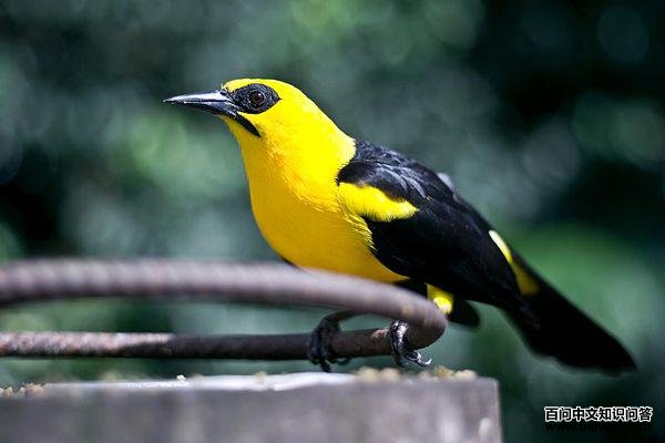 ��ͷ����ͼƬ