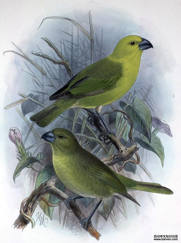 ��ͷ��������ͼƬ