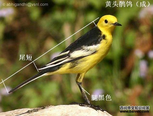 ��ͷ�n�_����