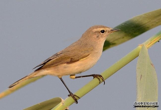 ߴ����ݺ��ͼƬ