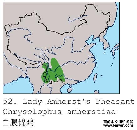 �׸����������ֲ�ͼ