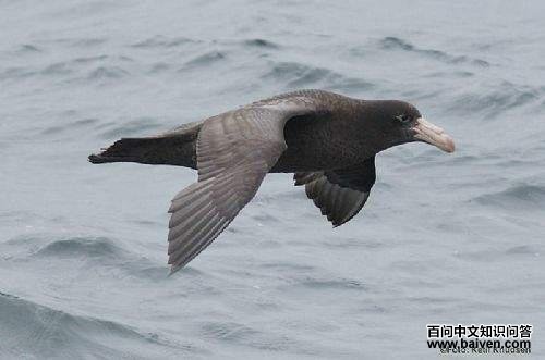 ���Ͼ���