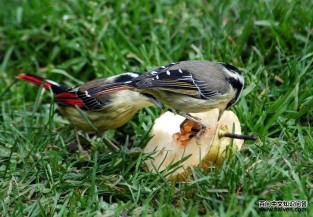 ��βϣ�̣�����������������ϣ�