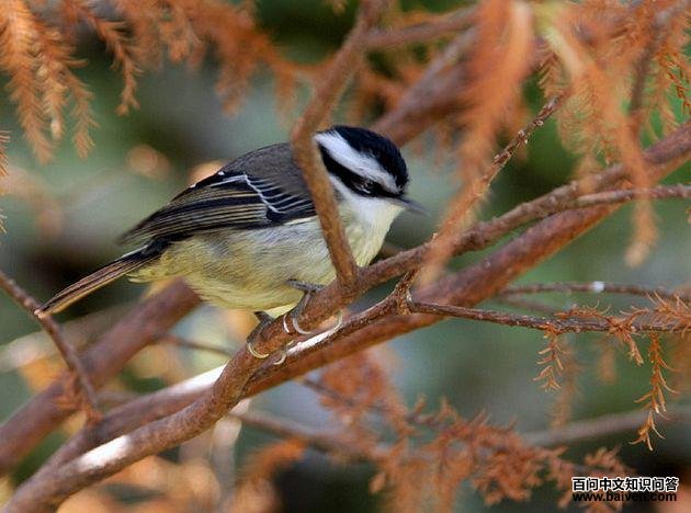 ��βϣ�̣������������ϣ�