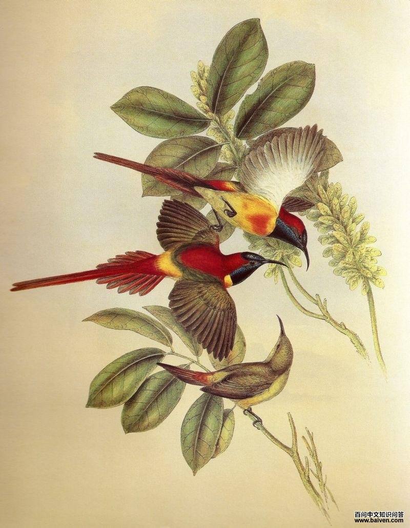 ��β̫������̬����ͼ