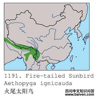 ��β̫���񣺵����ֲ�ͼ