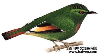 ��β������̬����