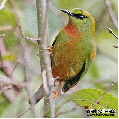 ��β���̣�����