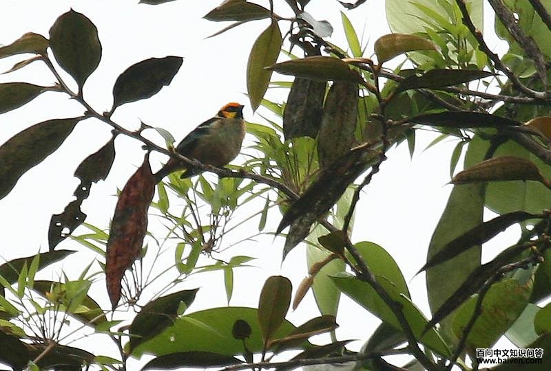 �����Ƽ���ȸ��ͼƬ