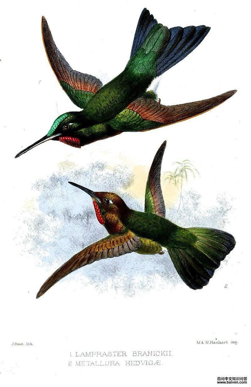 �����β�����ͼƬ