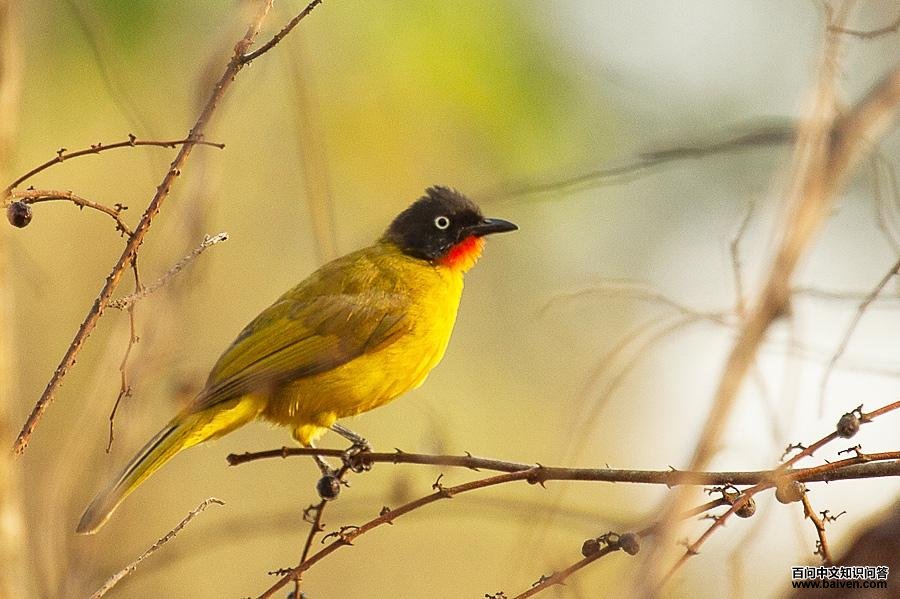 ����ǵ�ͼƬ