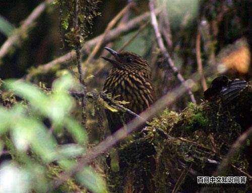 �������ȸ