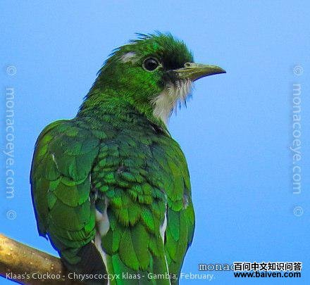 �׸�����ͼƬ