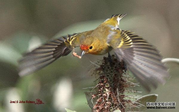 ���ȸ����ͼ