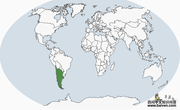 ��ص�����