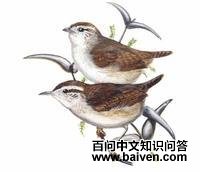 �׸�����