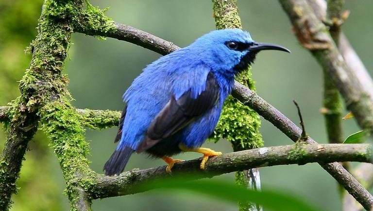 ������ȸ��ͼƬ