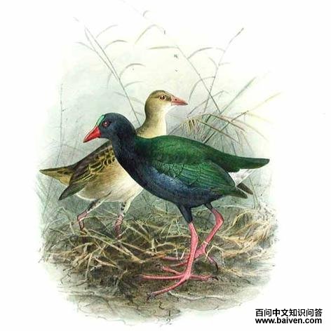 ����ˮ��