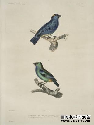 �����Ƽ���ȸ��ͼƬ