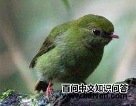 ���̽��l��ͼƬ