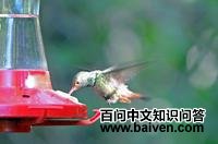 �Ժ�����