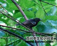 �Ժ������ͼƬ