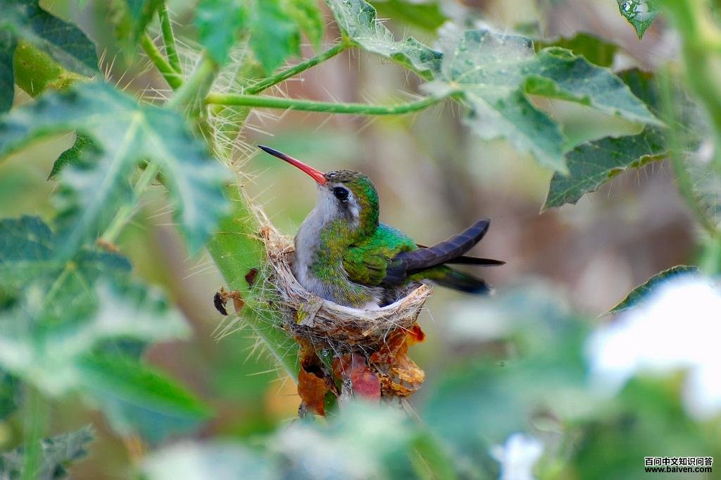 �Ը�����񣺴������