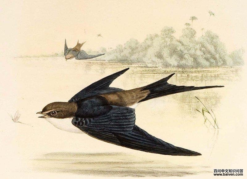 �������ͼƬ