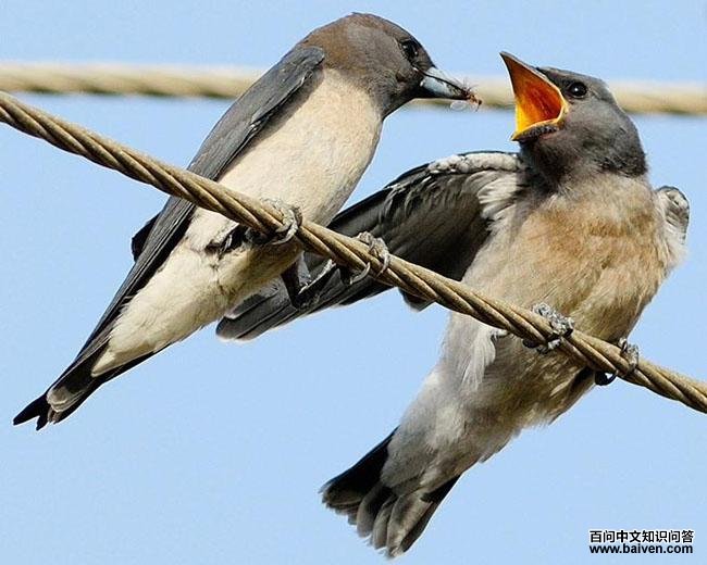 �����V������