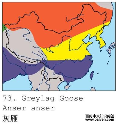 ���㣺�����ֲ�ͼ