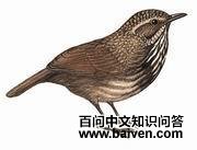 �������̵�ͼƬ