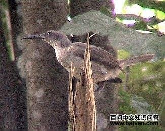 ����ľ���