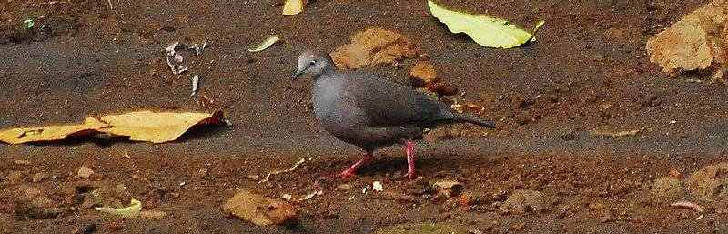 �����س���ͼƬ