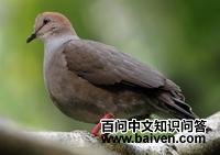 �����س��